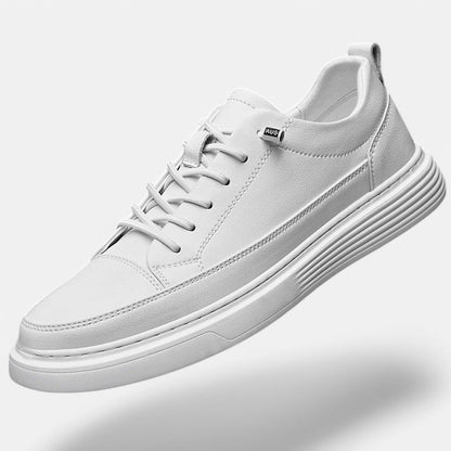 ALESSANDRO | Sneakers