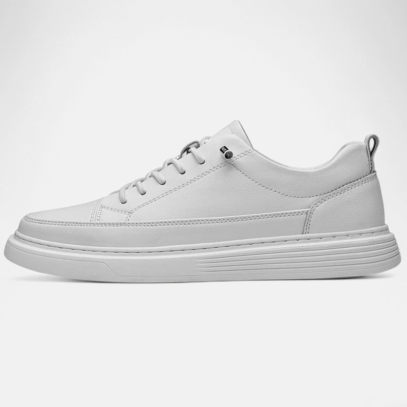 ALESSANDRO | Sneakers